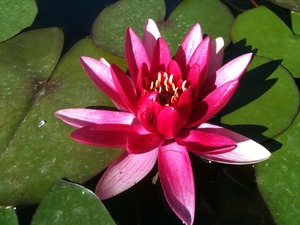 IMG_0634 IMG_0634